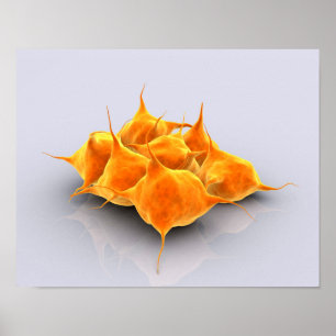 Poster Image Conceptuelle D'Un Groupe De Platelets