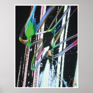 Poster Image KC fibre