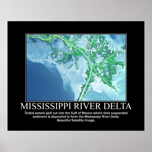 Poster Image satellite du delta du fleuve Mississippi (Devant)