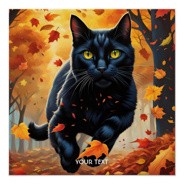 Poster Imaginaire Cute Vivid Black Jumping Chat (Devant)