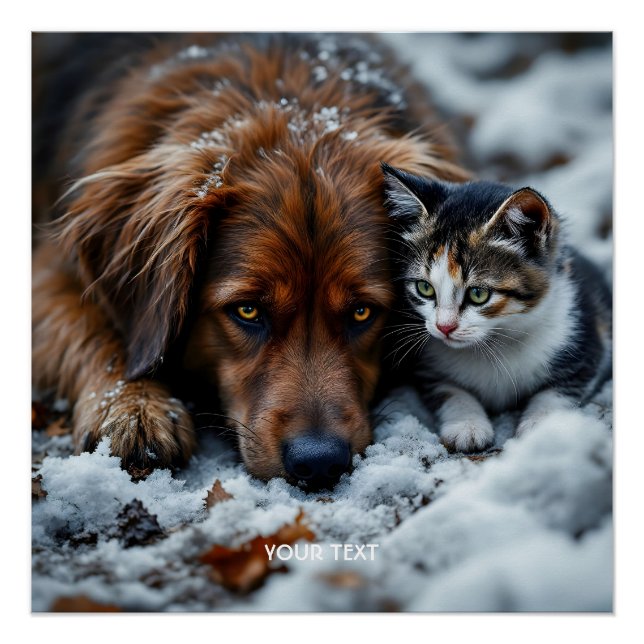 Poster Imaginaire mignon chien chat neige (Devant)