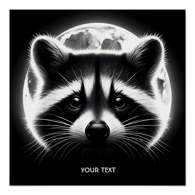 Poster Imaginaire mignon Racoon visage lune (Devant)