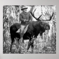 Immense Teddy Roosevelt À La Tête D'Une Oie À Taur