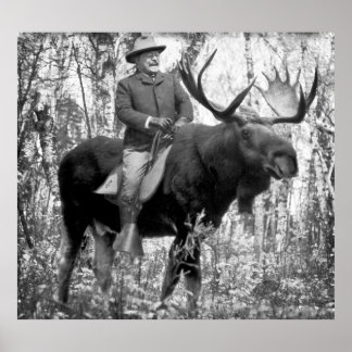 Poster Immense Teddy Roosevelt À La Tête D'Une Oie À Taur