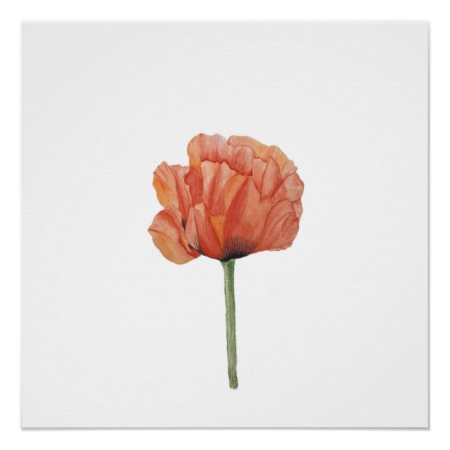 Poster Impression botanique à l'aquarelle de coquelicot r (Devant)