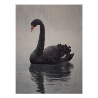 Impression d'art Cygne noir antique