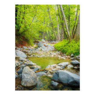 Poster Impression d'art photo de paysage naturel de Fores