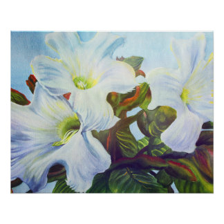 Poster Impression d'un mur de pureté