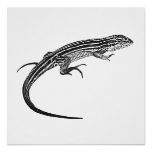 Poster Impression monochrome de lézard