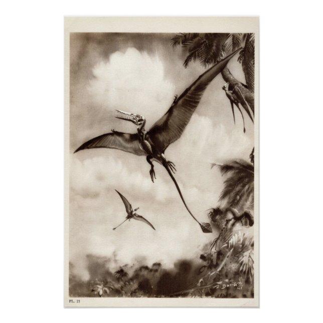 Poster Impression vintage de dinosaure #3 (Devant)