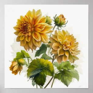 Poster imprimé Dahlias Jaune