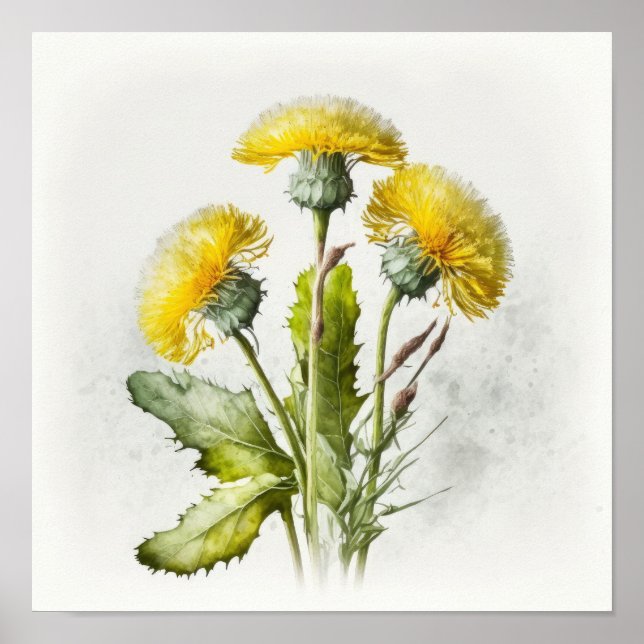 Poster imprimé Dandelions Jaunes (Devant)