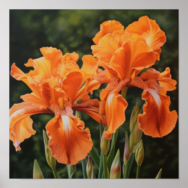 Poster imprimé Orange Irises (Devant)