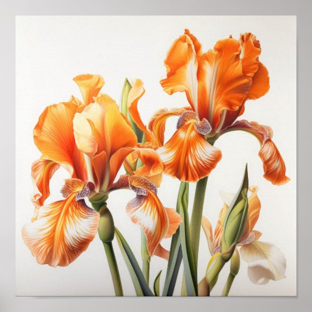 Poster imprimé Orange Irises (Devant)