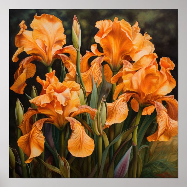 Poster imprimé Orange Irises (Devant)
