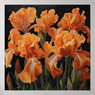 Poster imprimé Orange Irises