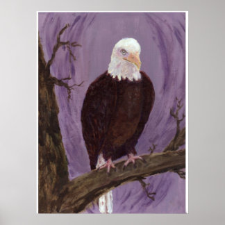 Poster Imprimer Bald Eagle
