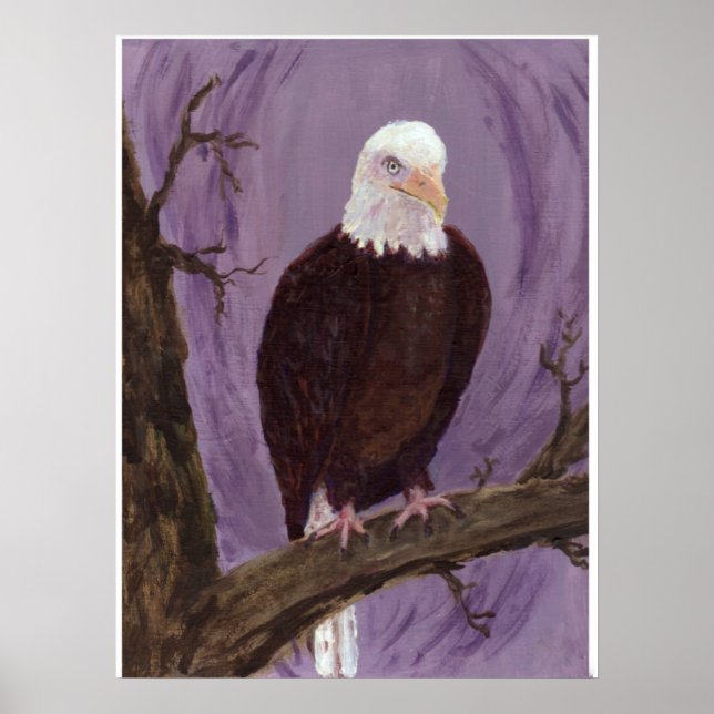 Poster Imprimer Bald Eagle (Devant)