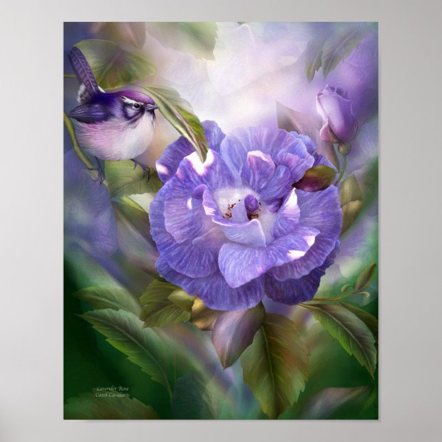 Poster / Imprimer du Rose Lavender (Devant)