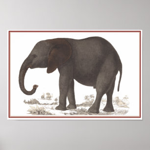 POSTER IMPRIMER ÉLÉPHANT