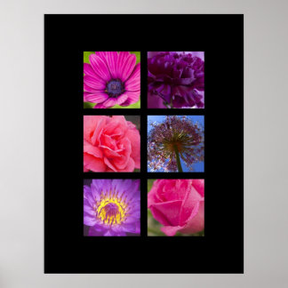 Poster Imprimer - Fleurs roses et violettes