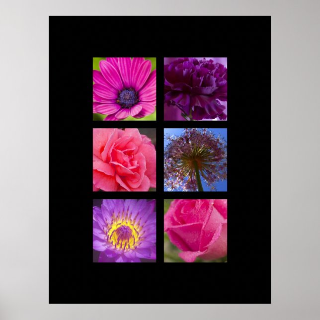 Poster Imprimer - Fleurs roses et violettes (Devant)