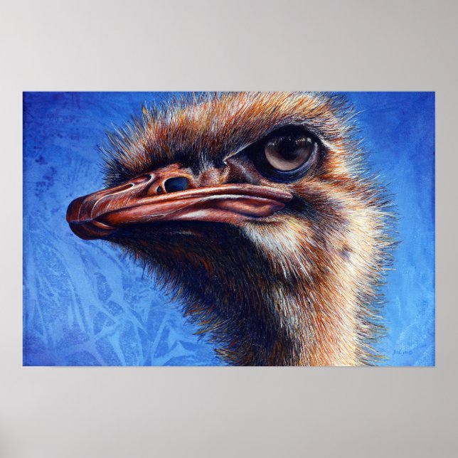 Poster Imprimer Fugley Ostrich (Devant)