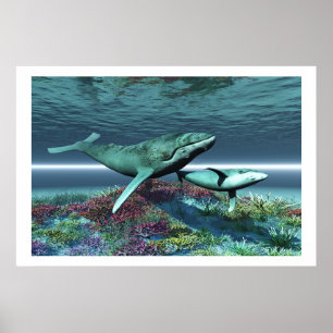 POSTER IMPRIMER LA CHANSON DE BALEINE