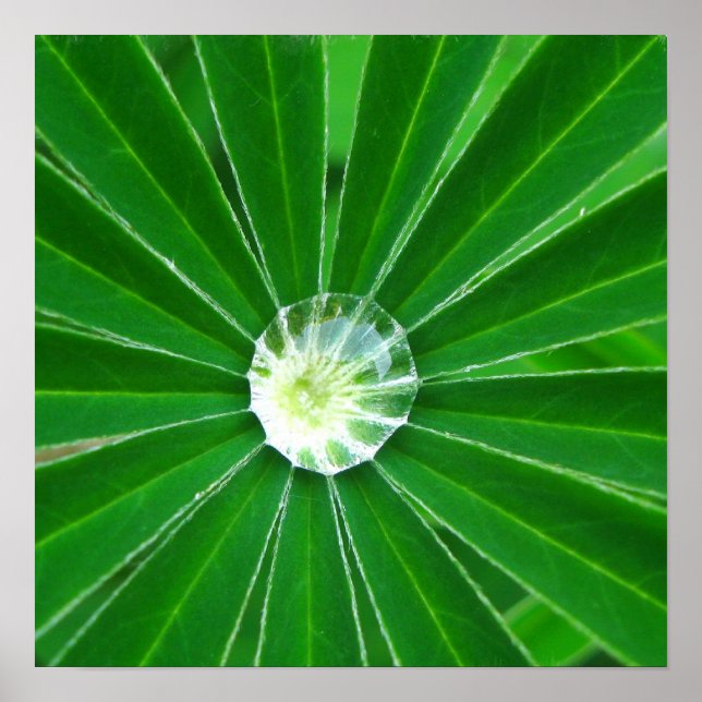 Poster Imprimer l'affiche Green Energy (Devant)