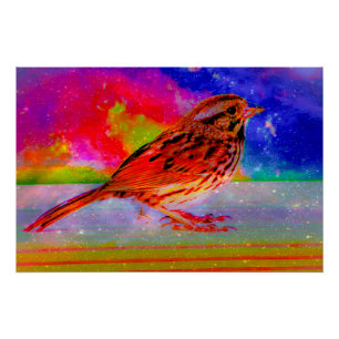 Poster Imprimer l'art du rêve d'oiseaux cosmiques"