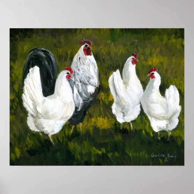Poster Imprimer l'art "Rooster & Poules" (Devant)