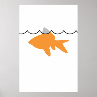 Poster/Imprimer Poster de requin de poisson rouge