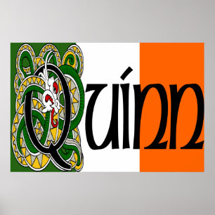 Poster Imprimer Quinn Celtic Dragon