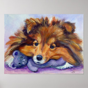 Poster Imprimer Shetland Sheepdog