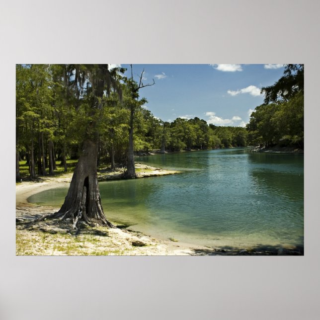 Poster Imprimer Suwannee River Beach (Devant)