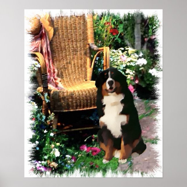 Poster Imprimerie Bernese Mountain Dog (Devant)