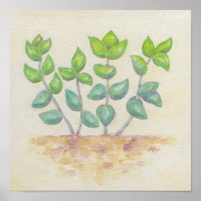 Poster Imprimerie d'art Crassula (Devant)