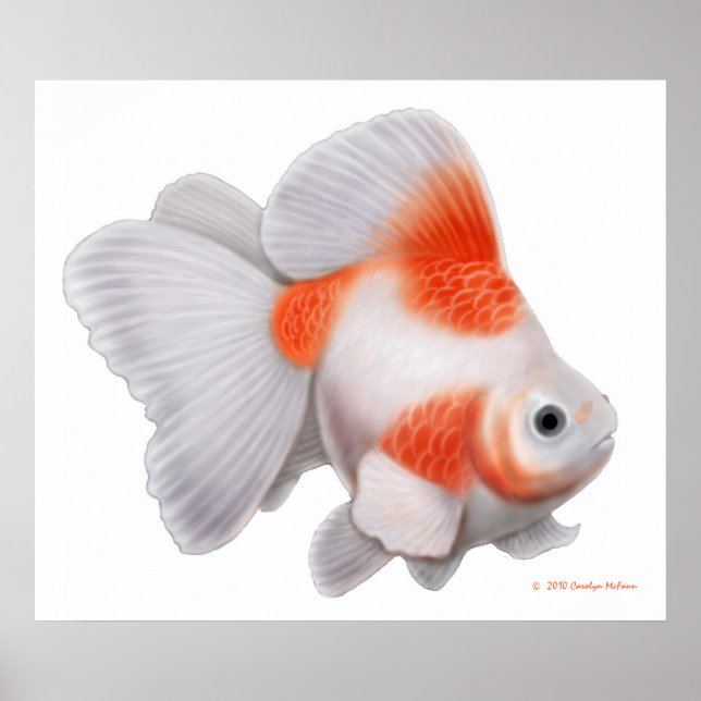 Poster Imprimerie japonaise Ryukin Fantail Goldfish (Devant)