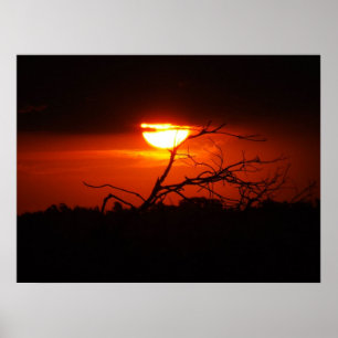 Poster In Between Darkness