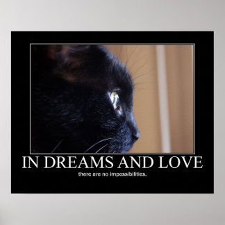 Poster In Dreams and Love Cat Inspiration