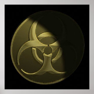 Poster Infection biogémique