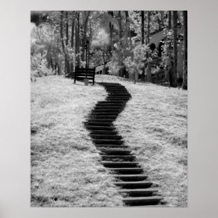 Poster Infrarouge d'arbres, de bâtiments et de sentiers à