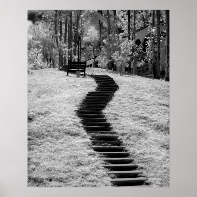 Poster Infrarouge d'arbres, de bâtiments et de sentiers à (Devant)