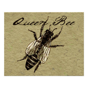 Poster Insecte de la faune de l'abeille Queen