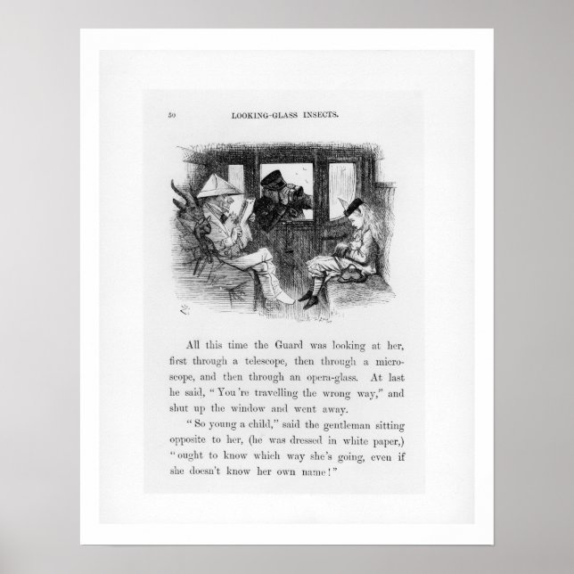 Poster Insectes en verre, illustration de 'Alice Th (Devant)