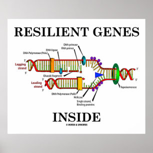 Poster Inside de gènes résistants (réplication de l'ADN)