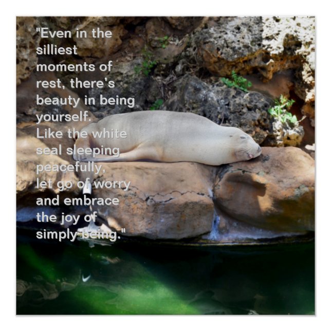 Poster Inspiration : Lion De Mer Blanche Dormir Sur Les R (Devant)