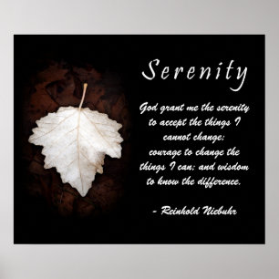 Poster Inspiration Serenity