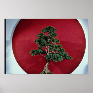 Poster Inspirer l'arbre Bonsai