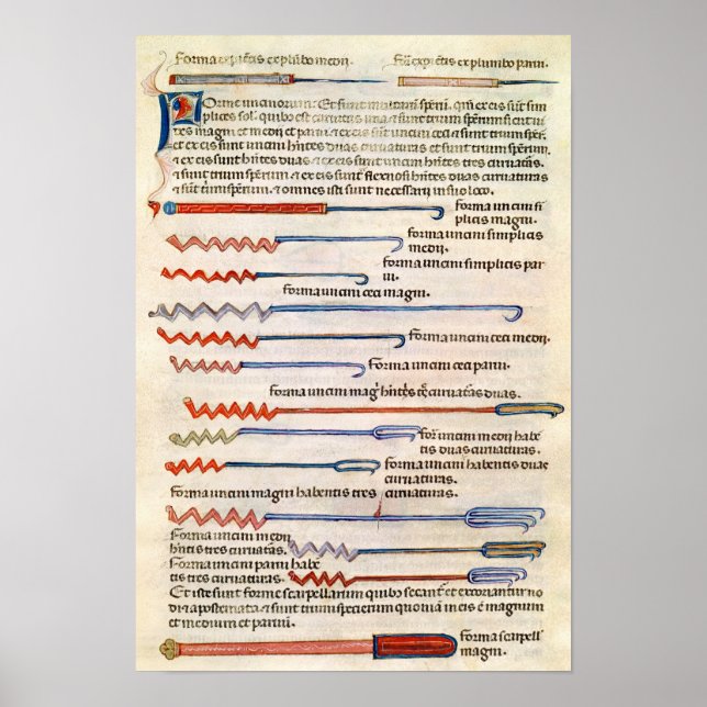 Poster Instruments chirurgicaux d'un traité (Devant)